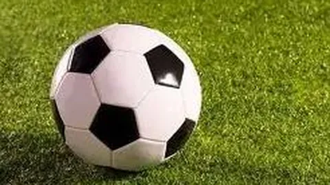 《独家揭秘！球星伊萨克频遭死亡恐吓，斥巨资购得顶级护卫犬守护安全》